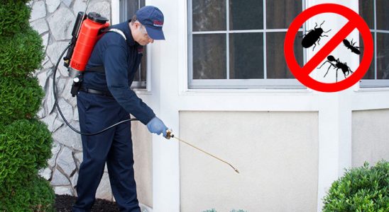 Doğanyurt Akrep İlaçlama böcek ilaçlama ve haşere kontrolü — ilaclama-tr.com